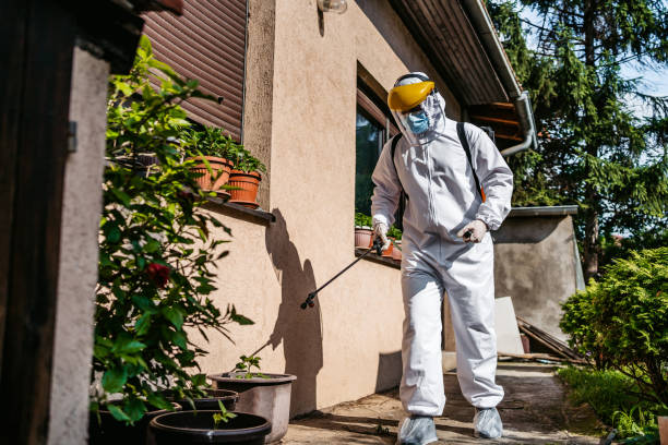 Best Exterminator Services  in Lake Holm, WA