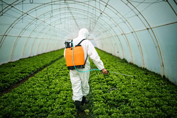 Best Pest Removal Services  in Lake Holm, WA