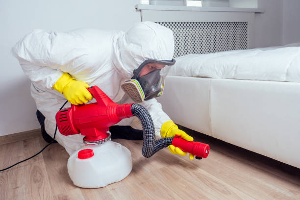 Best Affordable Pest Control Services  in Lake Holm, WA