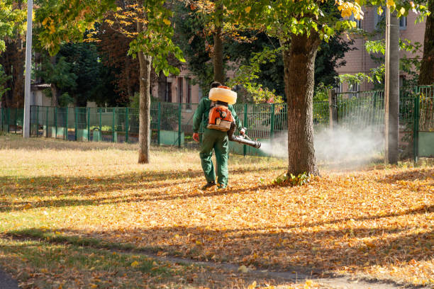 Best Commercial Pest Control Services  in Lake Holm, WA
