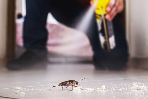 Best Wasp Removal Services  in Lake Holm, WA