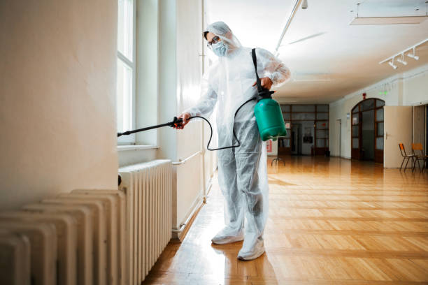 Best Rat Extermination Near Me  in Lake Holm, WA