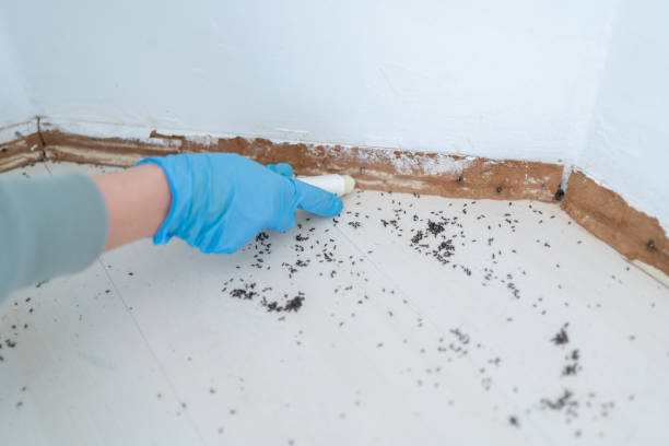 Best Pest Inspection Near Me  in Lake Holm, WA