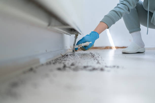 Best Best Pest Control Companies  in Lake Holm, WA
